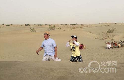《乡村大世界》高清图集:走进新疆麦盖提