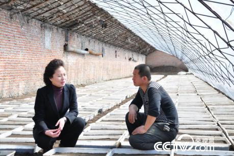 高春艳将科技服务窗口创办在田间地头