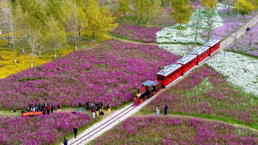 Early winter scenery in China