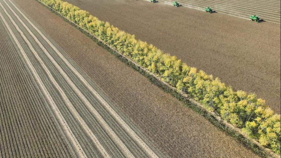 China issues 5-year plan for agricultural, rural modernization