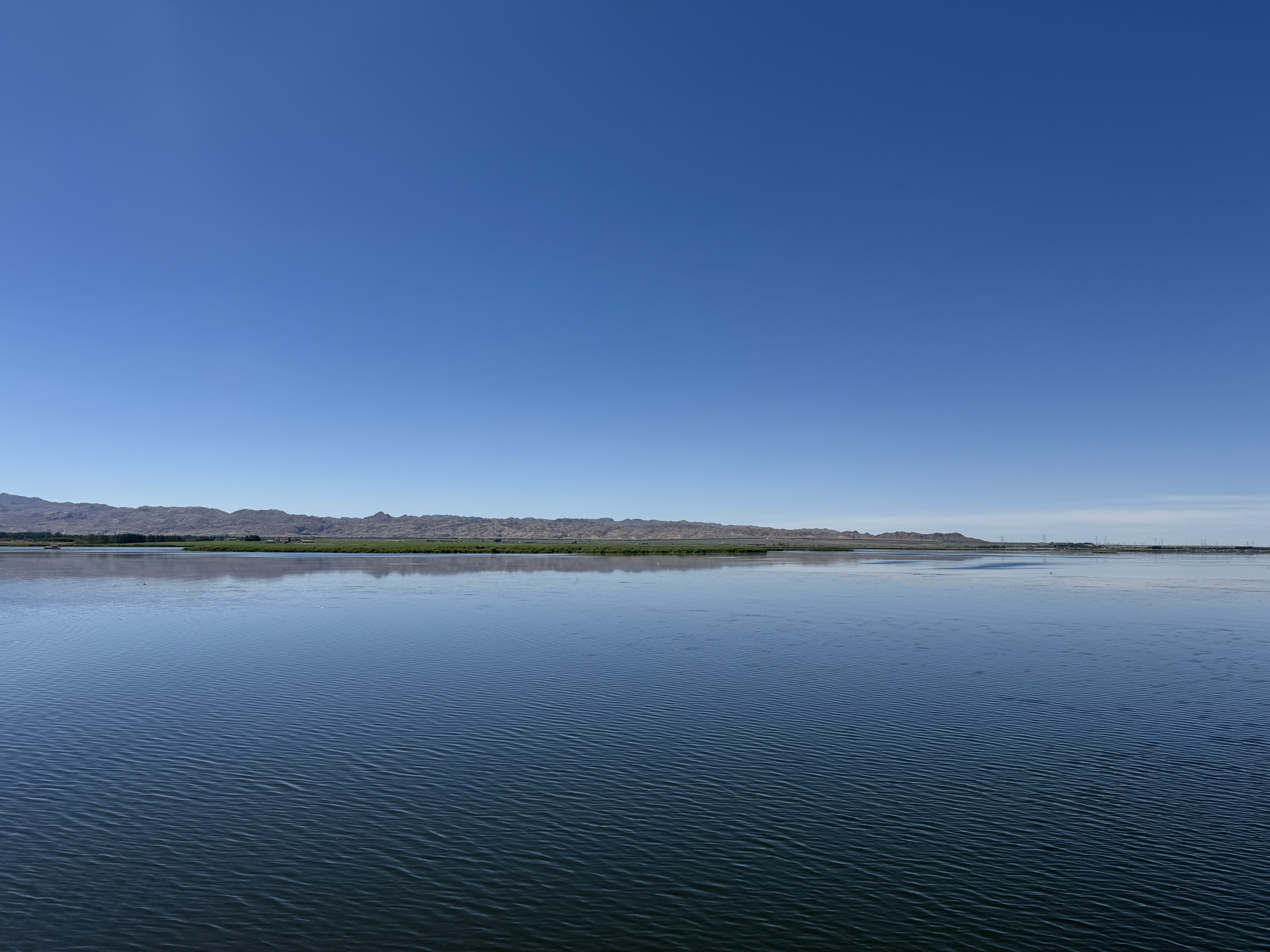 Exploring Wuliangsu Lake in Inner Mongolia Autonomous Region
