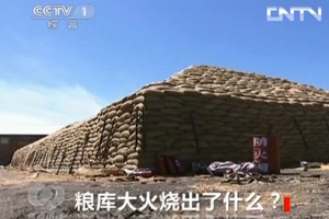 视频截图