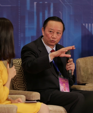 (图片17) 国务院发展研究中心农村研究部部长谢扬