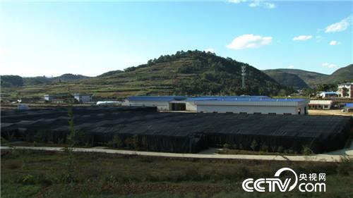 致富经:一夜赔掉20万元之后