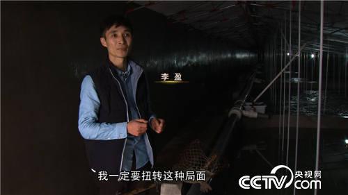 多宝鱼引发的多变财富