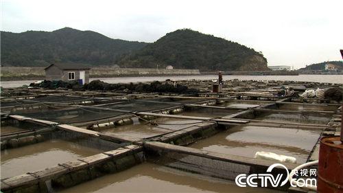 致富经:西北风吹来的财富