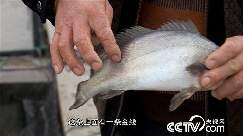 致富经:西北风吹来的财富