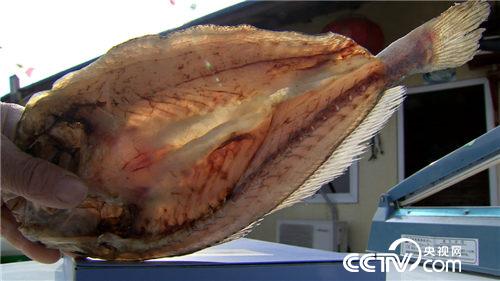 致富经:西北风吹来的财富