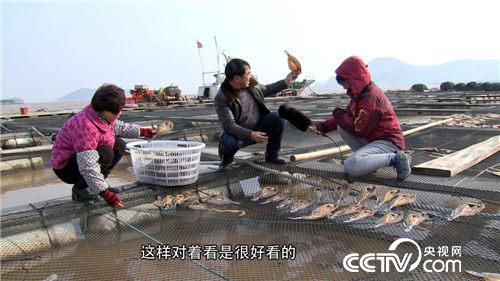 致富经:西北风吹来的财富