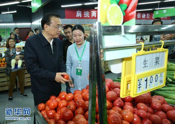 During his inspection tour of the province from April 24 to 26, the premier visited an earthquake memorial hall, leaving flowers for the victims and paying a silent tribute.