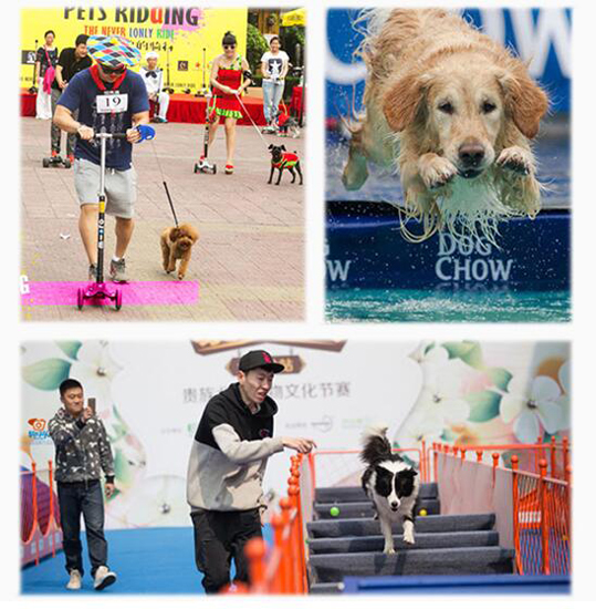 Pet care booms in products and services