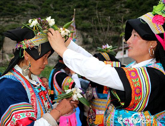 每年农历五月初五凌晨，舟曲县博峪乡会举办采花节，将这种只在海拔3000米以上的地方生长的花朵插进头饰，意为祈福。