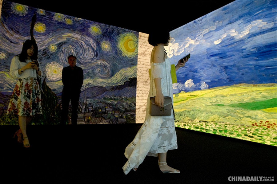 Visitors appreciate the exhibition at Jinyuan Shopping Mall. [Photo by Akash Ghai/China Daily]