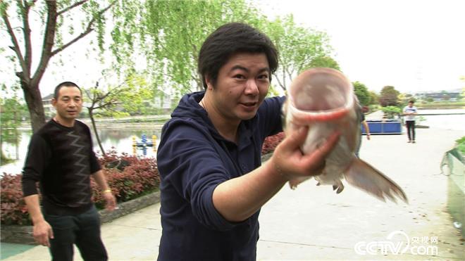 致富经:原来鱼还可以这么养