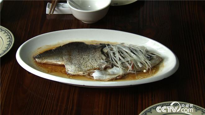 致富经:原来鱼还可以这么养