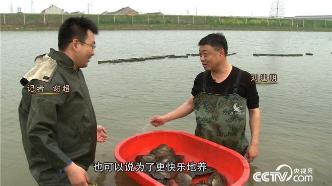 致富经:原来鱼还可以这么养