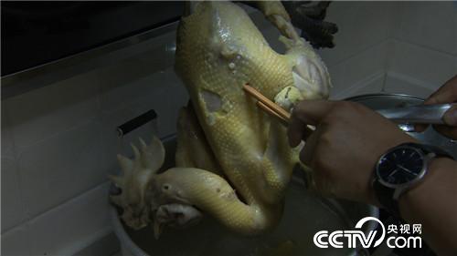 致富经 胡军养鸡记