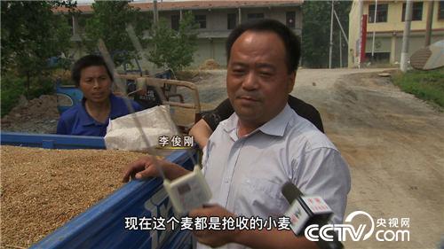 麦收故事会(3) “田保姆”麦收忙