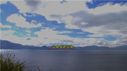 天价抗浪鱼的财富秘密