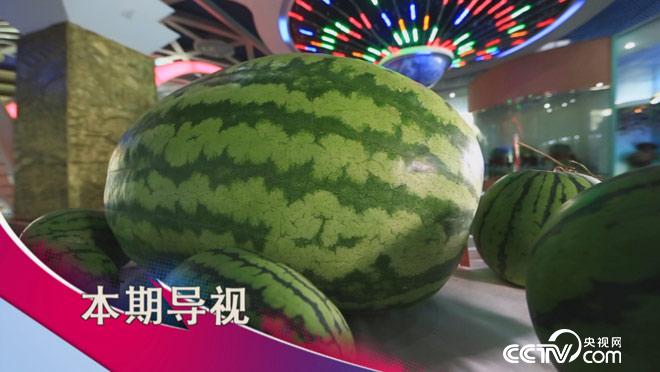 食尚大转盘:烈日炎炎爽西瓜