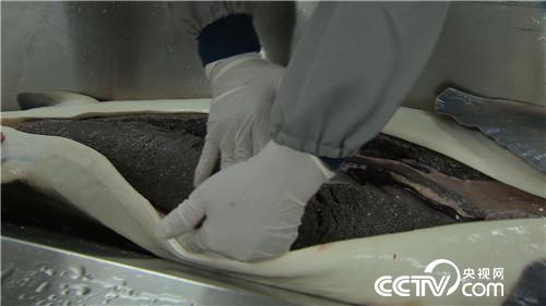 破开怪鱼肚 掏出“黑黄金”