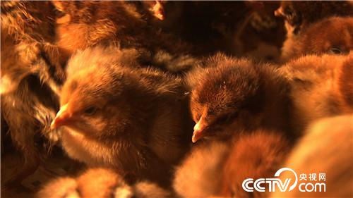 赔光千万后的财富逆袭