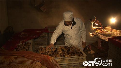 赔光千万后的财富逆袭