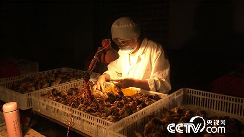 赔光千万后的财富逆袭