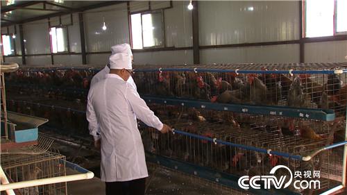 赔光千万后的财富逆袭