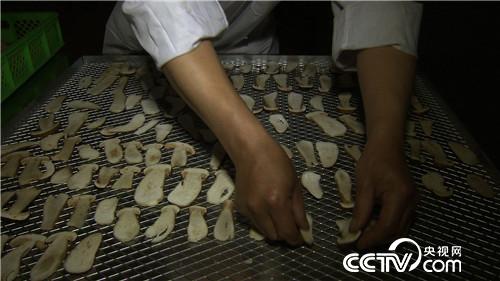 一个腼腆男人的千万财富