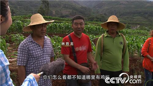 一个腼腆男人的千万财富