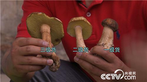 一个腼腆男人的千万财富