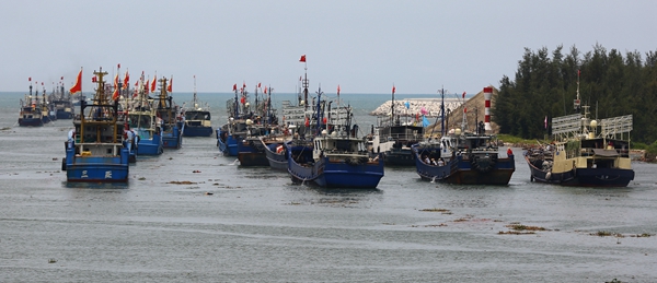 A traditional ceremony is held to celebrate the opening of the port at Yazhou, about 50 kilometers west of Sanya in Hainan province, Aug 1, 2016.