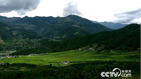 　　加多阿合的故乡在凉山州喜德县郊外的半山腰上，到镇上读书要走两个小时山路，所以村里的小孩要等到九岁才能上小学。