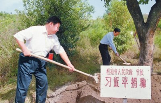  　　2001年10月，时任福建省省长的习近平到长汀县调研水土流失治理工作，在河田世纪生态园为他捐种的香樟树培土浇水。（图片来源：福建日报）