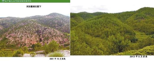 长汀县河田镇露湖村石壁下水土流失治理前后对比图（图片来源：福建日报）