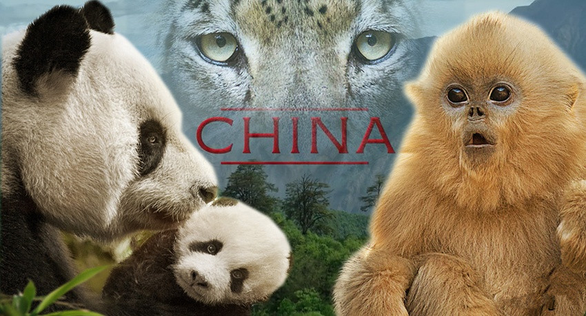 "Born in China"