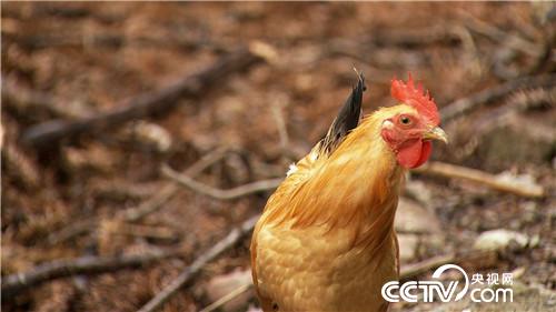 90后小伙3年从负翁到富翁