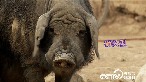 90后小伙3年从负翁到富翁