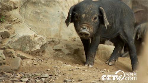 90后小伙3年从负翁到富翁