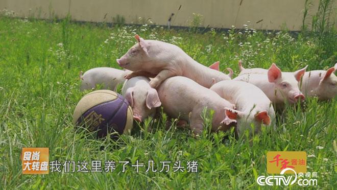 食尚大转盘:七层五花肉的秘密