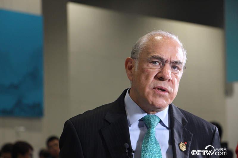 经济合作与发展组织（OECD）秘书长古里亚