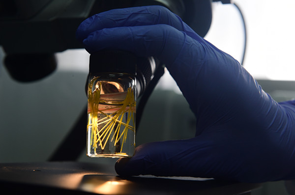 The futuristic concept of an entire "lab-on-a-chip" may soon become a reality. A research team in China