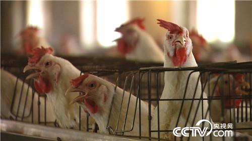 甩不掉的女人帮他带来百万财