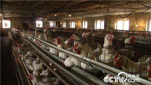 甩不掉的女人帮他带来百万财