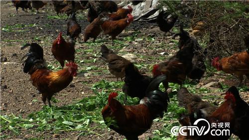 甩不掉的女人帮他带来百万财