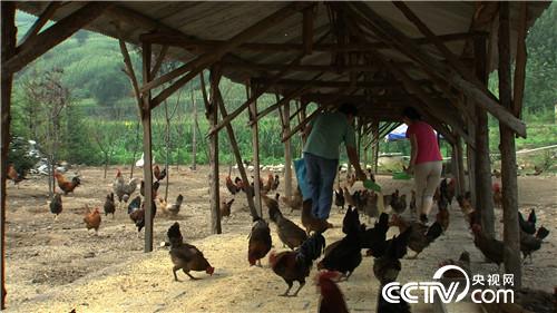 甩不掉的女人帮他带来百万财