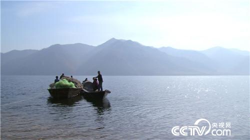 嫁对男人 入对行