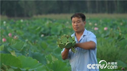 致富经:水塘里开出的“金莲花”