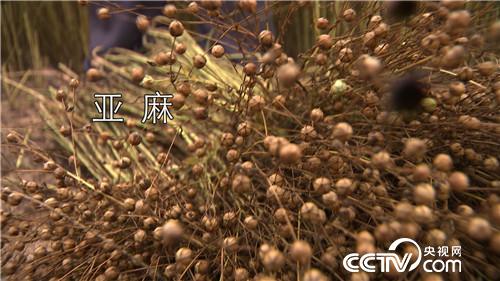 油变奶带来财富